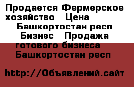 Продается Фермерское хозяйство › Цена ­ 27 000 - Башкортостан респ. Бизнес » Продажа готового бизнеса   . Башкортостан респ.